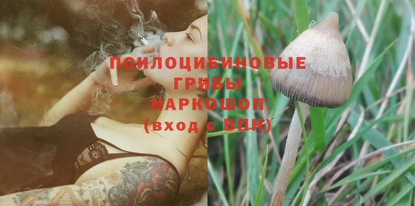 экстази Алексин