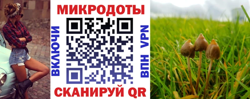 mega онион  дарнет шоп  Лесосибирск  Псилоцибиновые грибы Psilocybe 